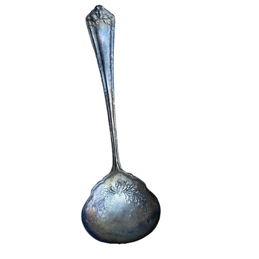 Vintage WM Rogers & Son AA Silverplate Gravy Ladle Floral Handle